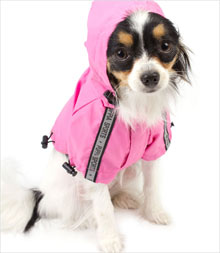 chihuahua clothes puppy coats