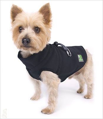 chihuahua dog coats with harness loops built in to them